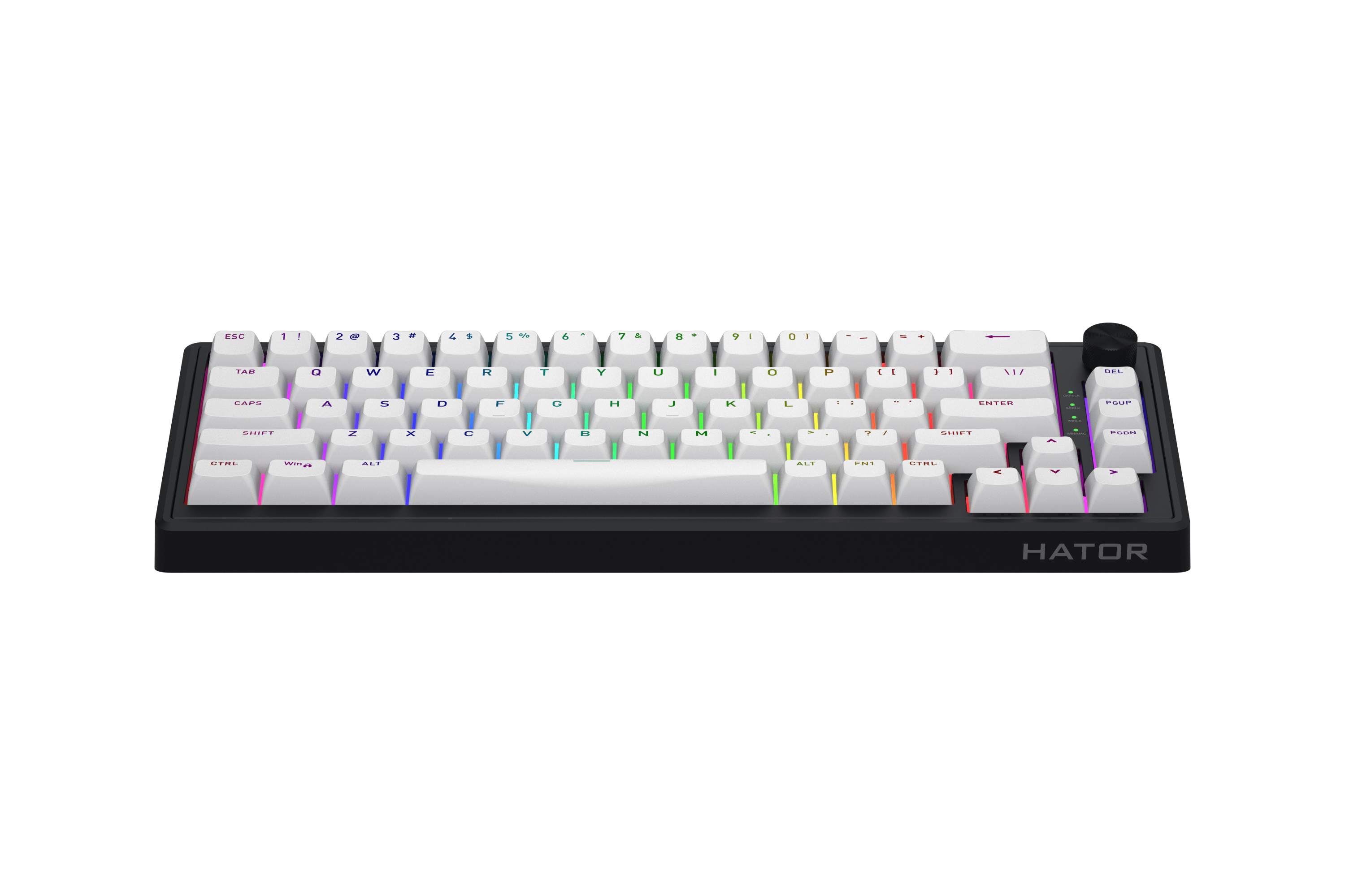 HATOR Skyfall 65 MAG ULTRA 8K, black-black, PBT OMA white-white US-ANSI, HATOR Aurum Strawberry 100M magnetic hotswap 45gf switches, 8K USB polling rate, 64K single key, gasket mount structure & anti-noise sandwich, knob, RGB analog gaming keyboard - (HT