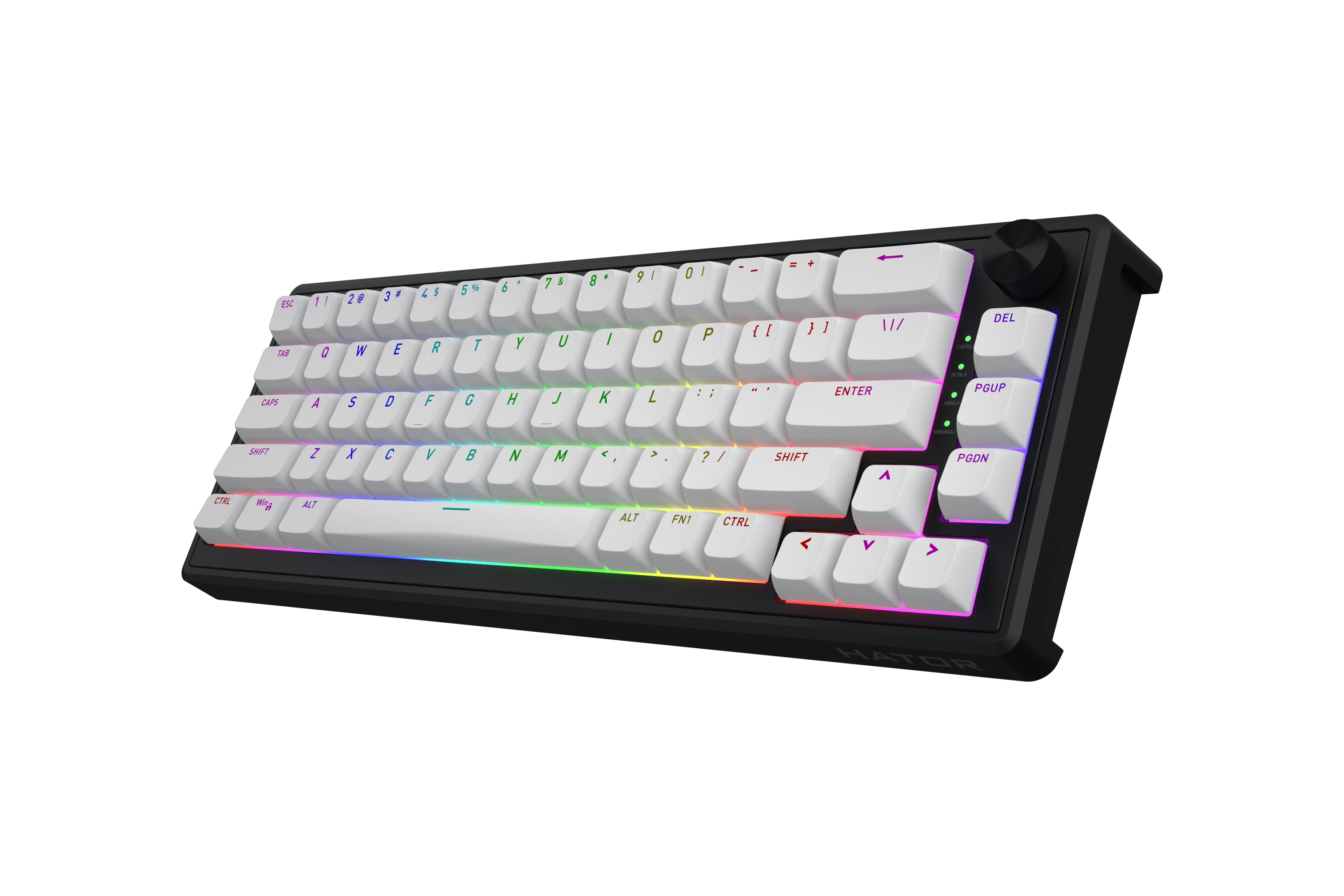 HATOR Skyfall 65 MAG ULTRA 8K, black-black, PBT OMA white-white US-ANSI, HATOR Aurum Strawberry 100M magnetic hotswap 45gf switches, 8K USB polling rate, 64K single key, gasket mount structure & anti-noise sandwich, knob, RGB analog gaming keyboard - (HT