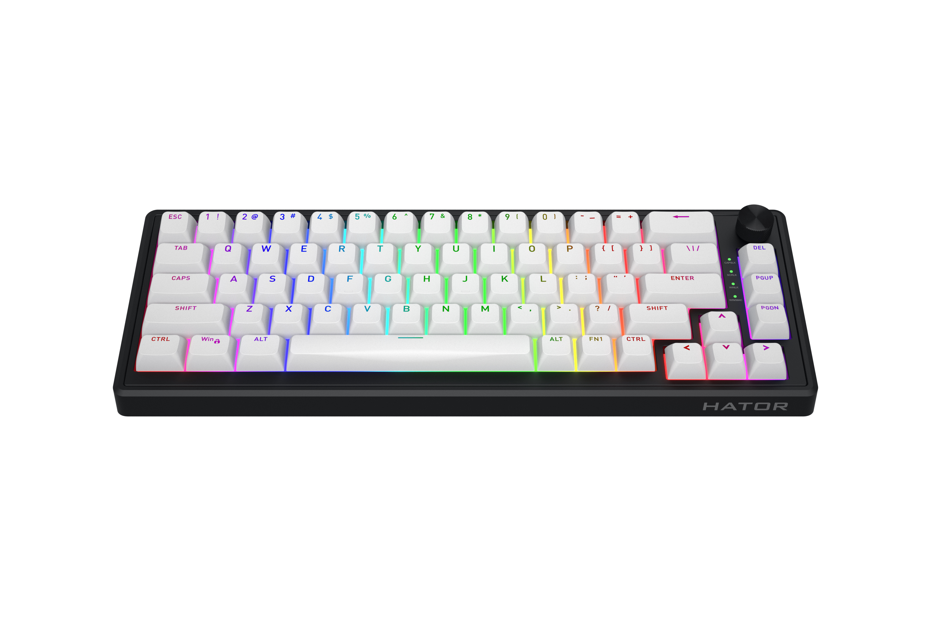 HATOR Skyfall 65 MAG ULTRA 8K, black-black, PBT OMA white-white US-ANSI, HATOR Aurum Strawberry 100M magnetic hotswap 45gf switches, 8K USB polling rate, 64K single key, gasket mount structure & anti-noise sandwich, knob, RGB analog gaming keyboard - (HT