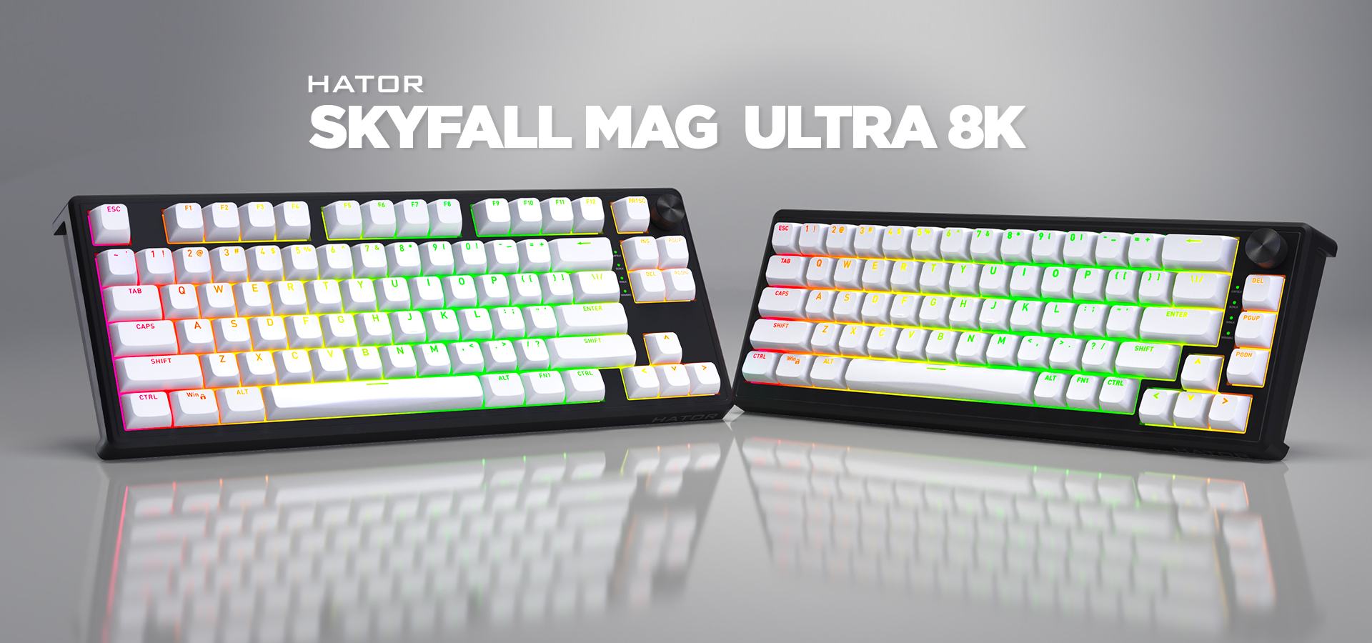 HATOR Skyfall 65 MAG ULTRA 8K, black-black, PBT OMA white-white US-ANSI, HATOR Aurum Strawberry 100M magnetic hotswap 45gf switches, 8K USB polling rate, 64K single key, gasket mount structure & anti-noise sandwich, knob, RGB analog gaming keyboard - (HT