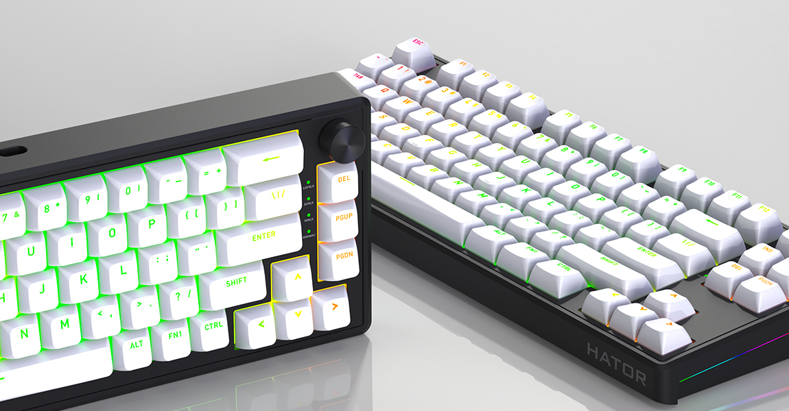 HATOR Skyfall 65 MAG ULTRA 8K, black-black, PBT OMA white-white US-ANSI, HATOR Aurum Strawberry 100M magnetic hotswap 45gf switches, 8K USB polling rate, 64K single key, gasket mount structure & anti-noise sandwich, knob, RGB analog gaming keyboard - (HT