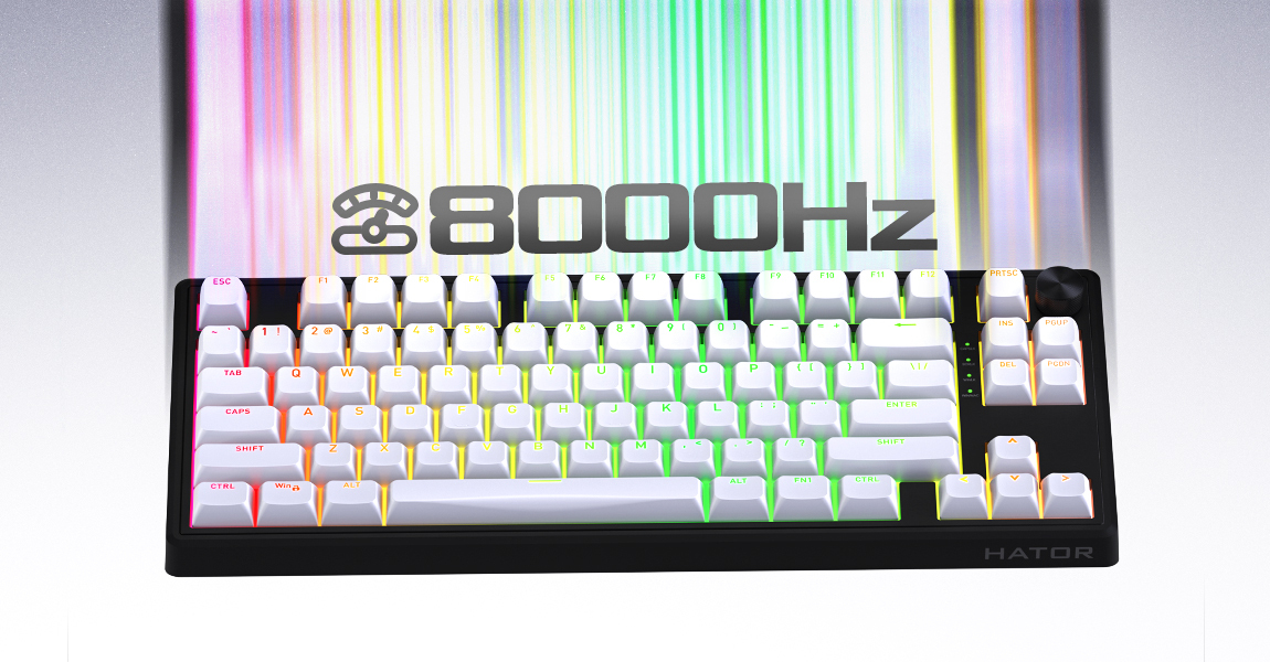 HATOR Skyfall 65 MAG ULTRA 8K, black-black, PBT OMA white-white US-ANSI, HATOR Aurum Strawberry 100M magnetic hotswap 45gf switches, 8K USB polling rate, 64K single key, gasket mount structure & anti-noise sandwich, knob, RGB analog gaming keyboard - (HT