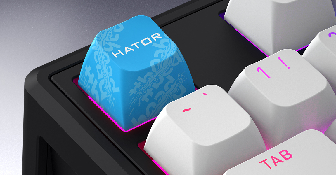 HATOR Skyfall 65 MAG ULTRA 8K, black-black, PBT OMA white-white US-ANSI, HATOR Aurum Strawberry 100M magnetic hotswap 45gf switches, 8K USB polling rate, 64K single key, gasket mount structure & anti-noise sandwich, knob, RGB analog gaming keyboard - (HT