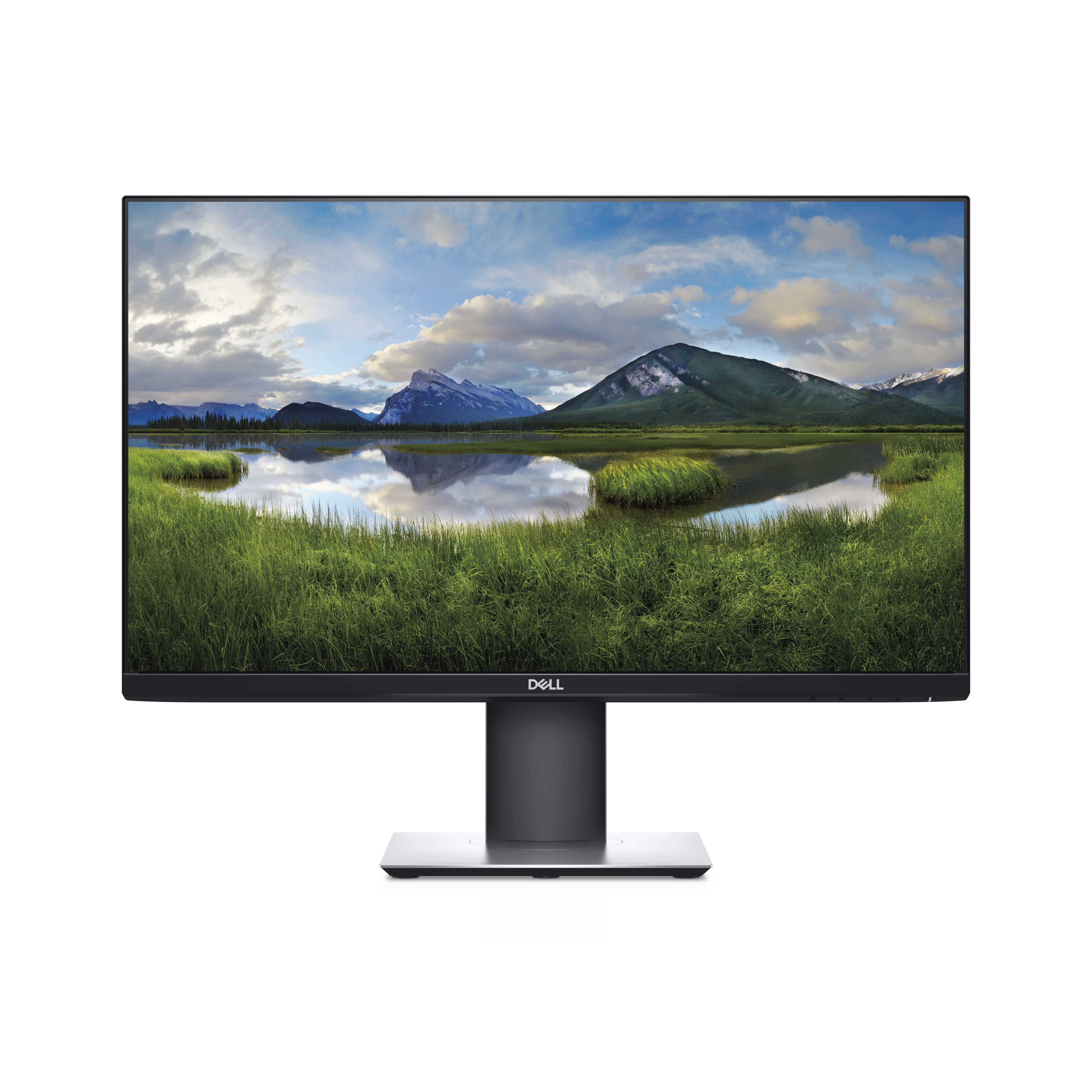 DELL P2419H with Stand / Grade A