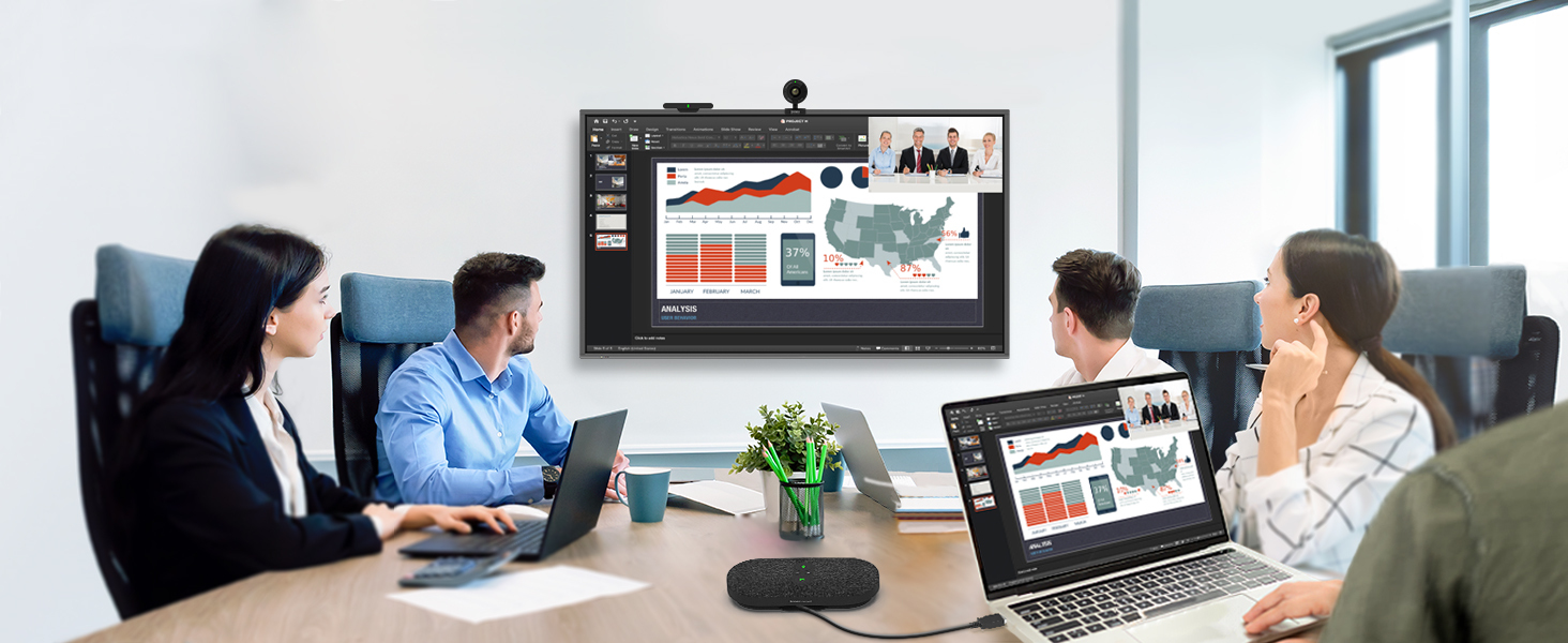 INNEX, Connect, Wireless Conferece system