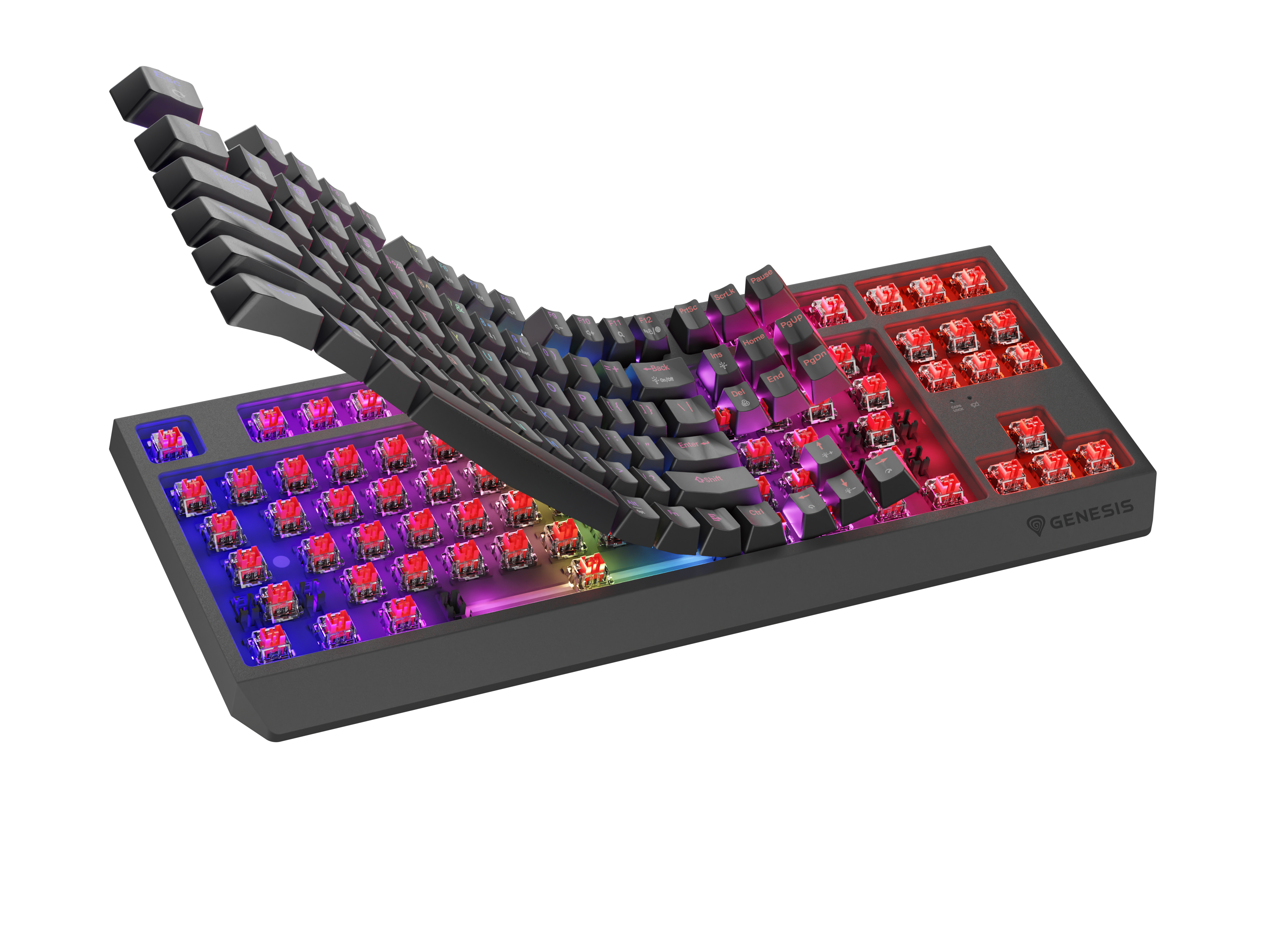 Genesis Gaming Keyboard Genesis Thor 230 TKL Wireless Us Black RGB Mechanical Outemu Red