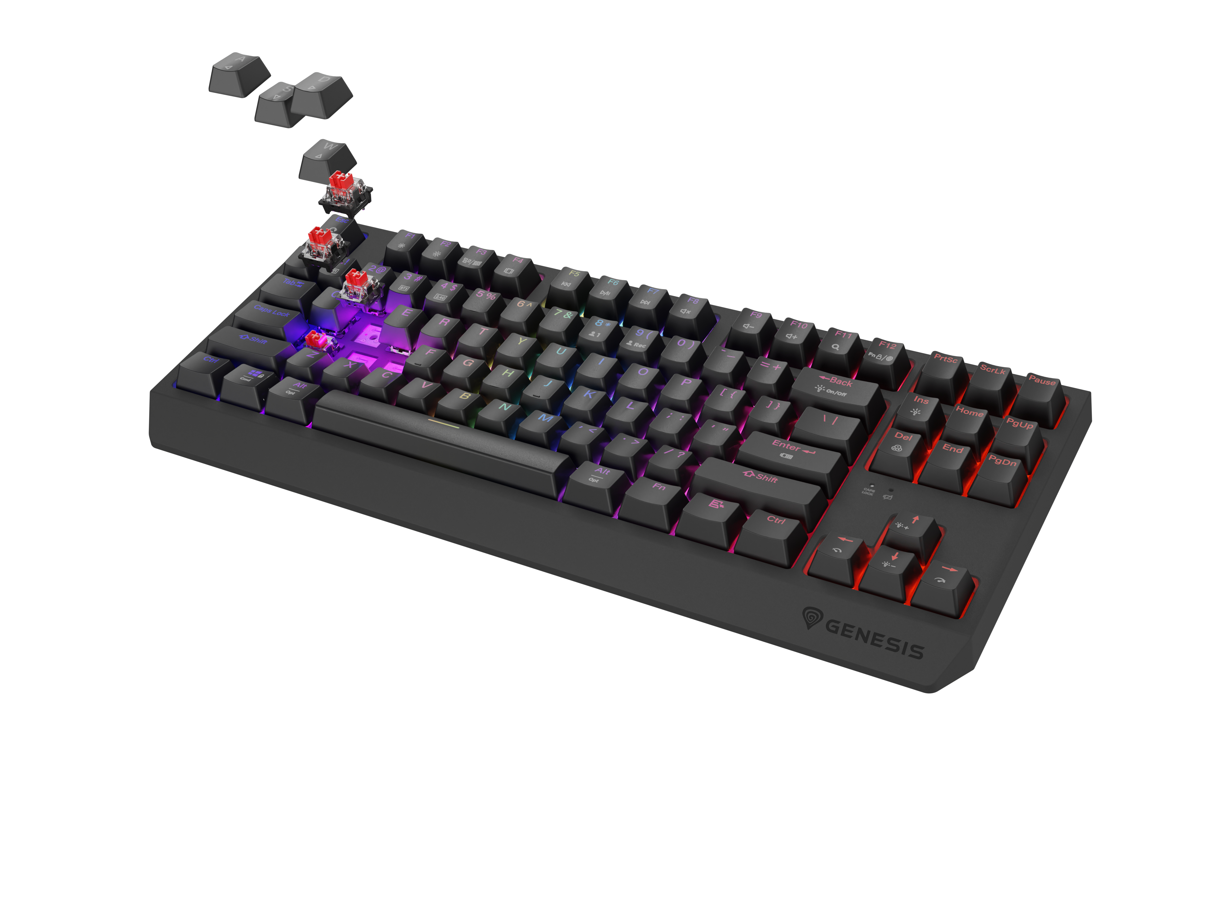 Genesis Gaming Keyboard Genesis Thor 230 TKL Wireless Us Black RGB Mechanical Outemu Red