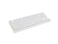 Genesis Gaming Keyboard Genesis Thor 404 TKL Us Layout RGB Backlight Mechanical White Gateron Yellow Pro